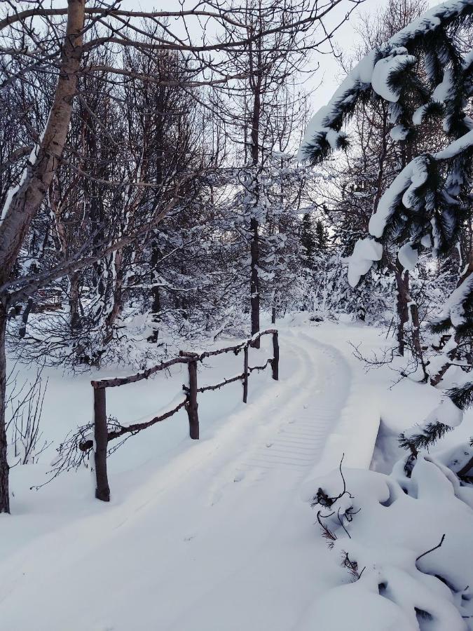 Bakkakot 2 - Cozy Cabins in the Woods Akureyri Buitenkant foto
