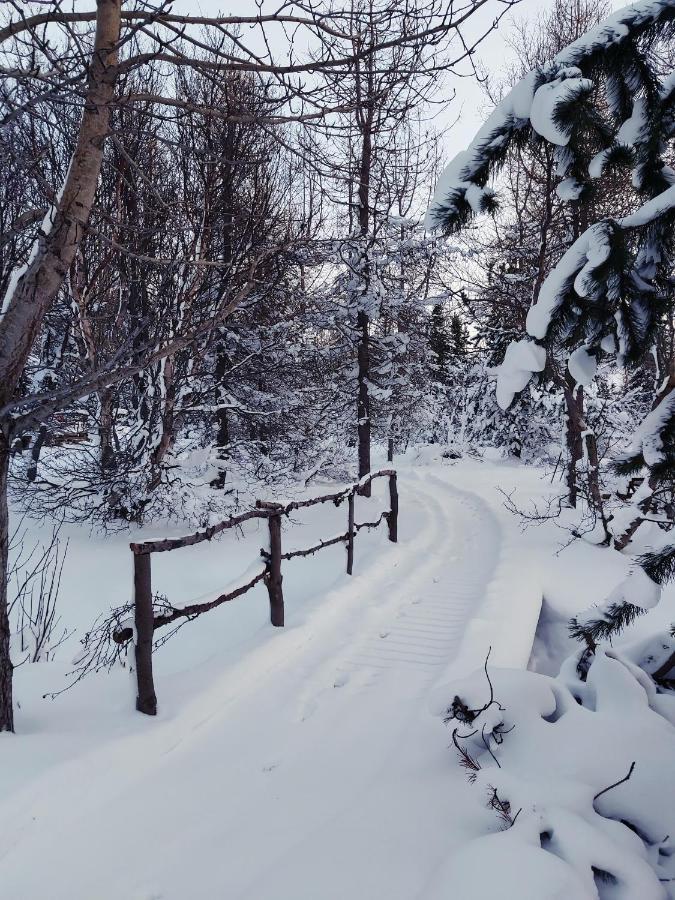 Bakkakot 2 - Cozy Cabins in the Woods Villa Akureyri Buitenkant foto