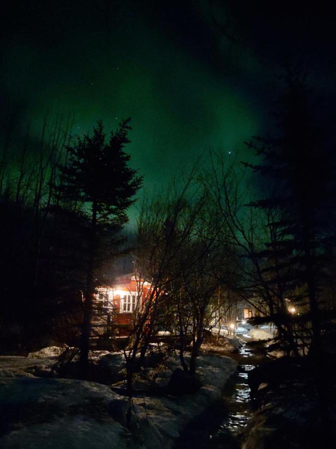 Bakkakot 2 - Cozy Cabins in the Woods Akureyri Buitenkant foto
