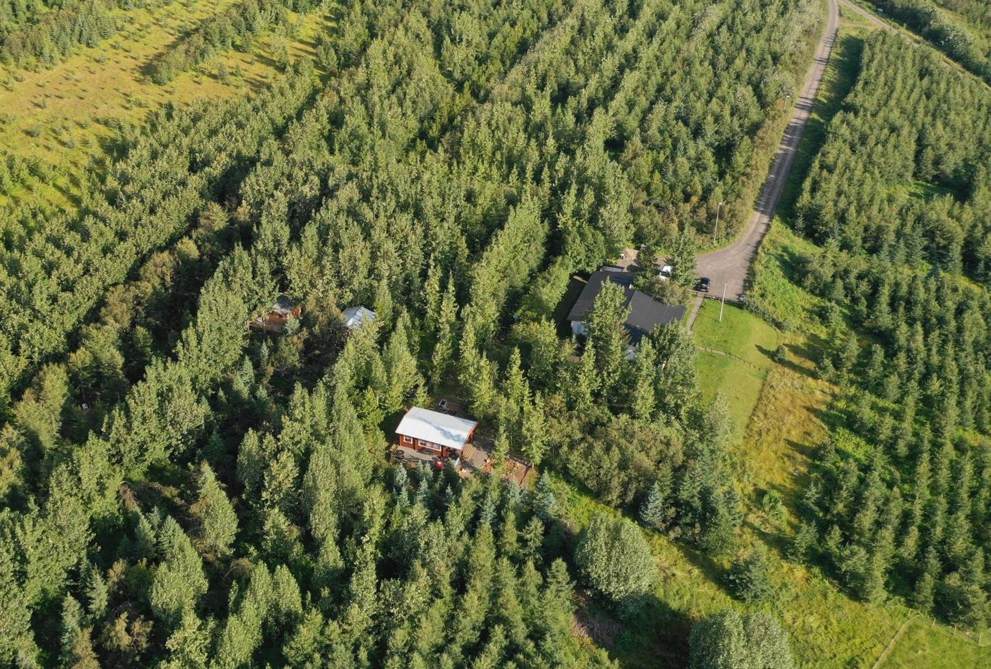 Bakkakot 2 - Cozy Cabins in the Woods Akureyri Buitenkant foto